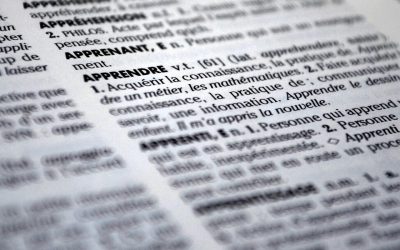 Nomenclature utilisée dans les fiches