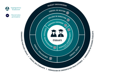 Structure institutionnelle